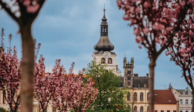 Městské informační centrum v Hořicích se po rekonstrukci vrací do radnice