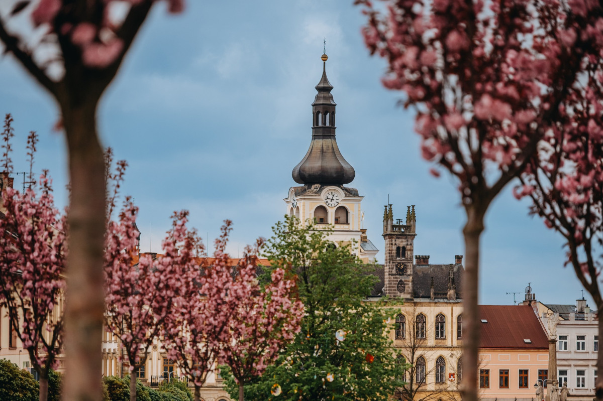 Městské informační centrum v Hořicích se po rekonstrukci vrací do radnice