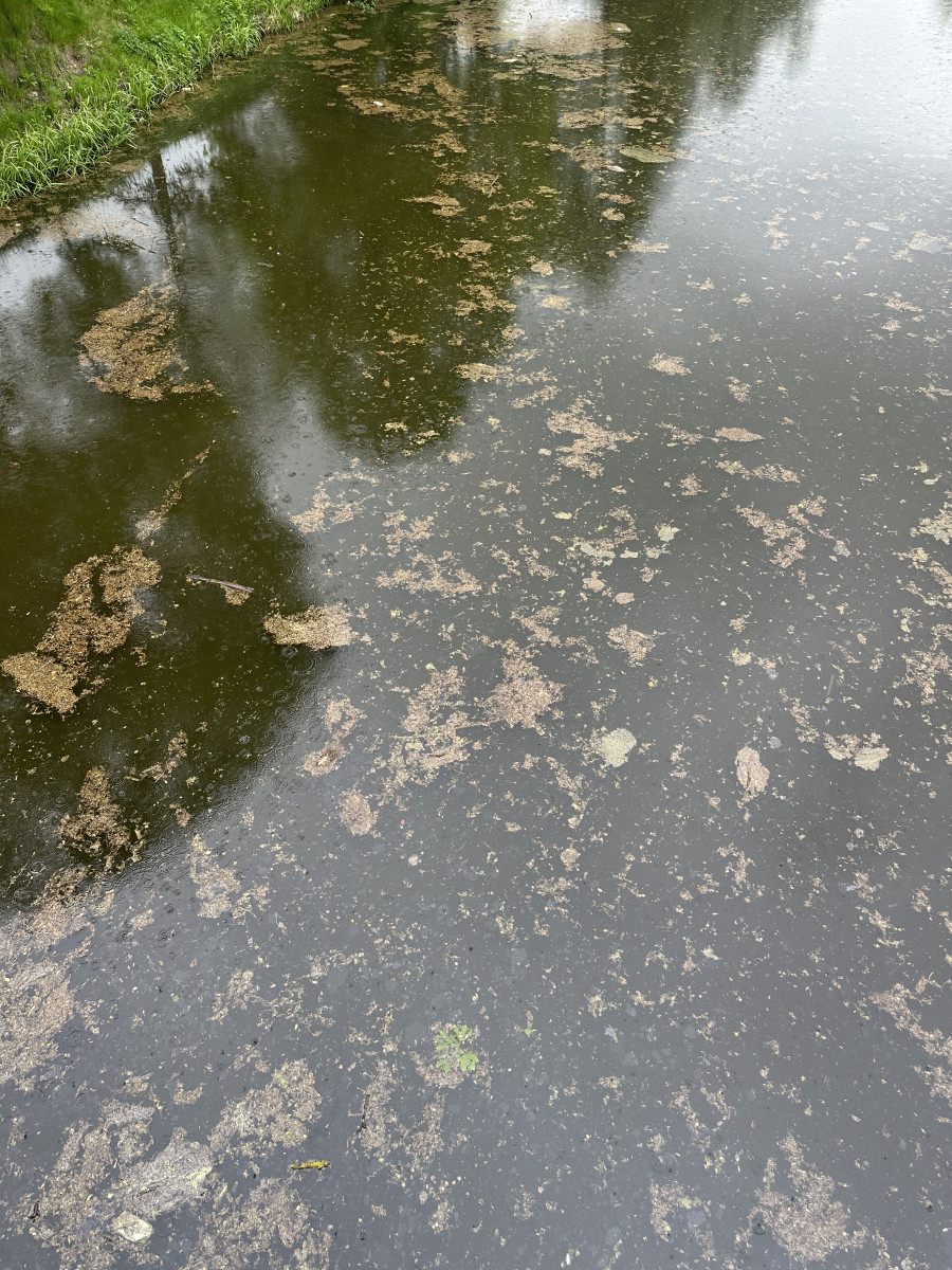 Mastná skvrna a mrtvé ryby. Hasiči monitorují podezřelé znečištění Malše