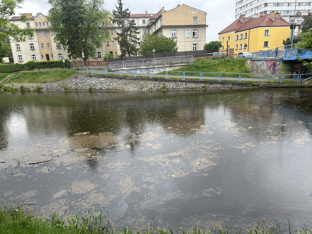 Mastná skvrna a mrtvé ryby. Hasiči monitorují podezřelé znečištění Malše