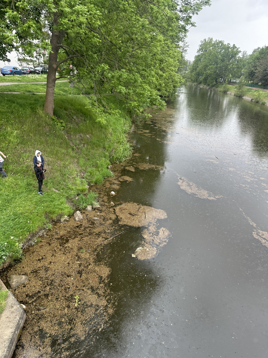 Mastná skvrna a mrtvé ryby. Hasiči monitorují podezřelé znečištění Malše