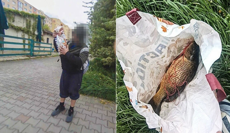 Zahraniční pytlák utíkal od rybníka s kaprem pod bundou. Ryba měla háček v tlamě