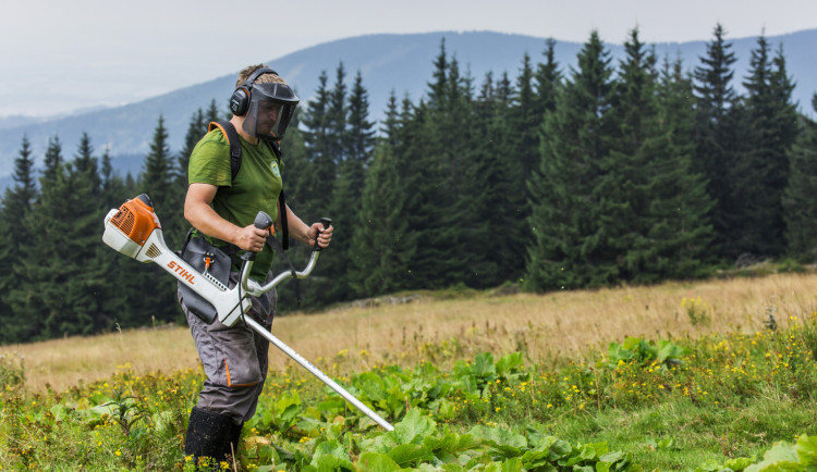 V Krkonoších odstartovala sezona péče o tamní louky