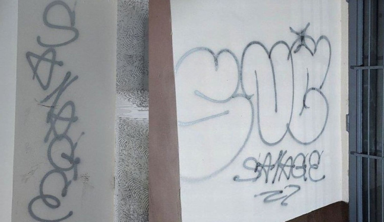 Dvojici sprejerů sledovala při jejich akci přes kamerový systém městská policie