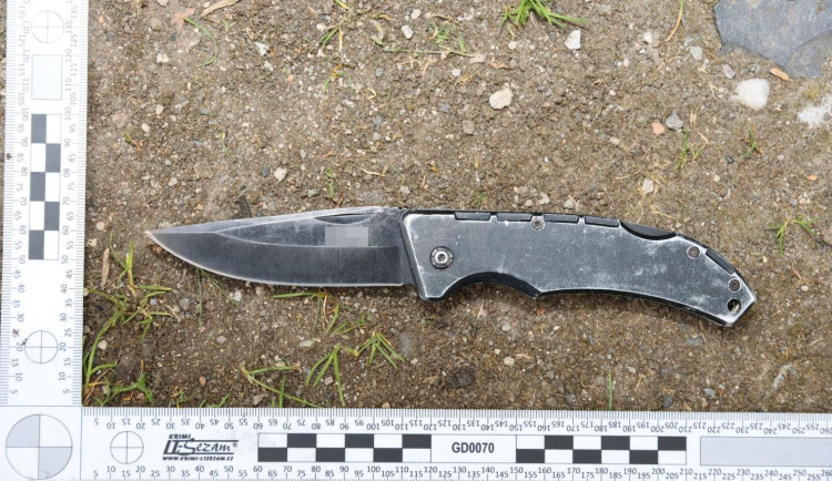 Taxikář okradl trojici zákazníků. S dívkou se následně pokusil odjet