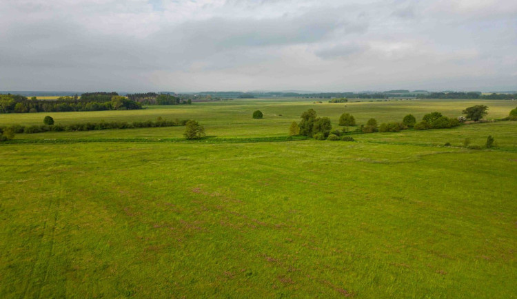 Memorandum mezi krajem a ornitology pomůže oživit Zbudovská blata