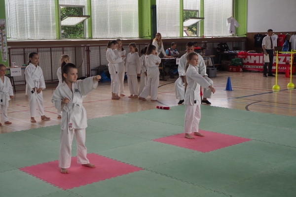 Stovka malých bojovníků porovnala svoje umění na Slavia Cupu