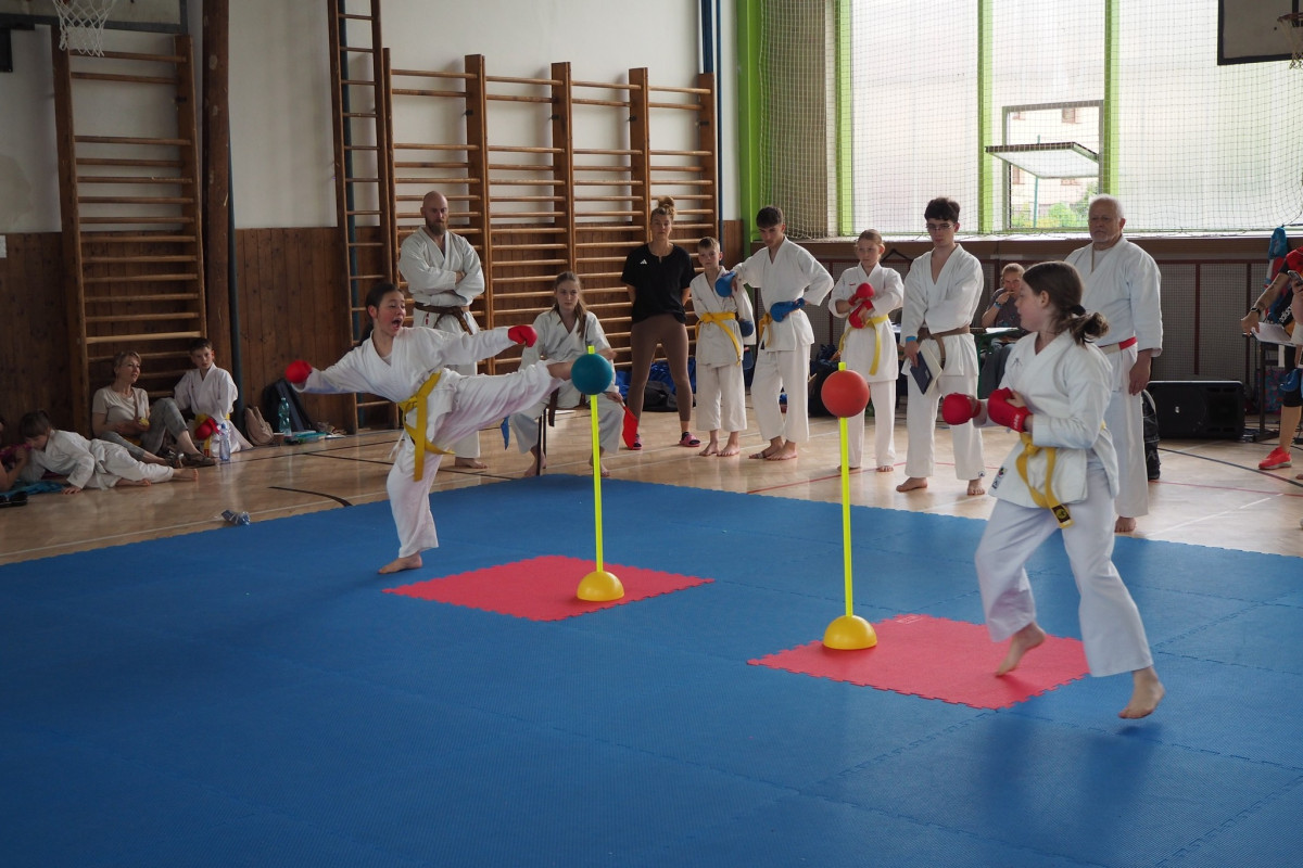 Stovka malých bojovníků porovnala svoje umění na Slavia Cupu