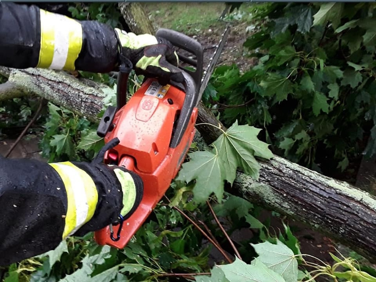 Moravskoslezští hasiči po bouřce odstraňovali spadlé stromy a čerpali vodu.