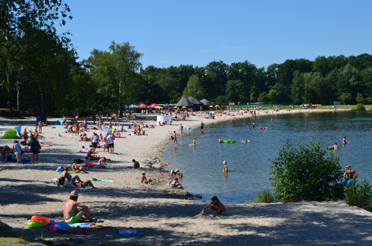 Máchovo jezero v létě