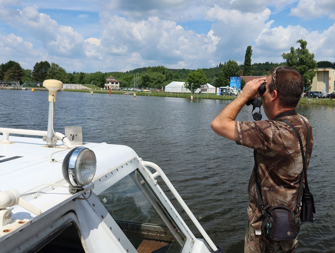 Z centra Prahy záhadně zmizelo 150 labutí. Plzeňští experti pátrají po jejich osudu