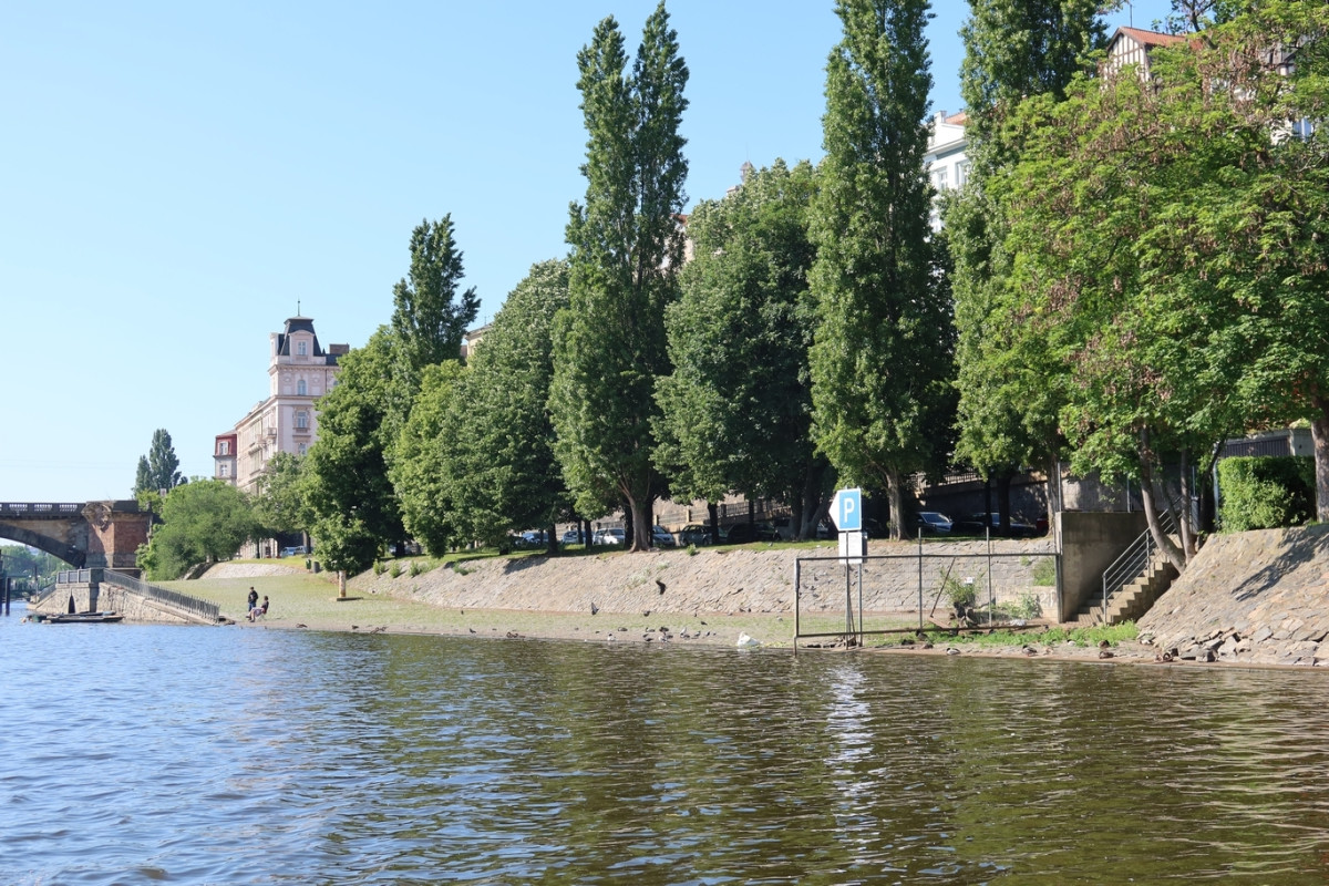 Na tomto místě obvykle bývají desítky labutí