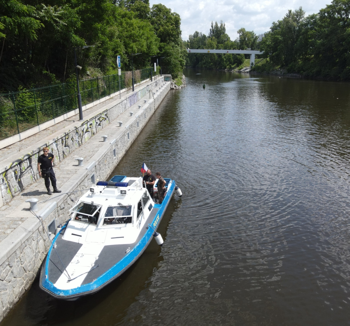Z centra Prahy záhadně zmizelo 150 labutí. Plzeňští experti pátrají po jejich osudu