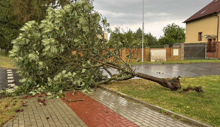 Silná bouřka zaměstnala hasiče. Řešili 200 událostí, převážně popadané stromy