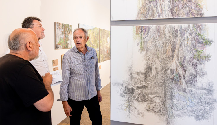 Západočeská galerie vystavuje dílo plzeňského umělce Vladivoje Kotyzy