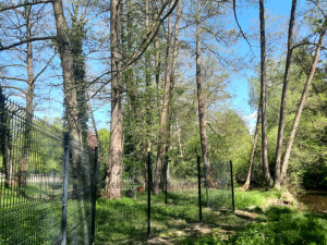 Týraná zvířata nahradí dinosauři. Zámek v Chlumu mění tvář i navzdory vyšetřování