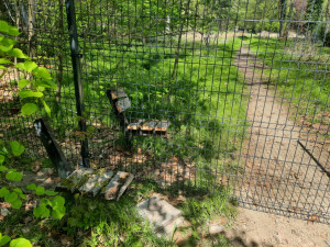 Týraná zvířata nahradí dinosauři. Zámek v Chlumu mění tvář i navzdory vyšetřování