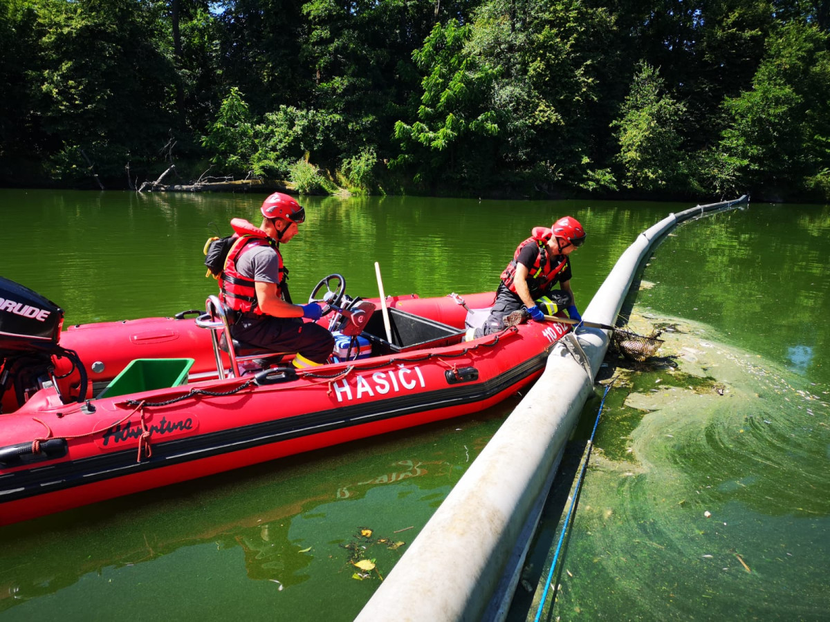 Ilustrační fotografie