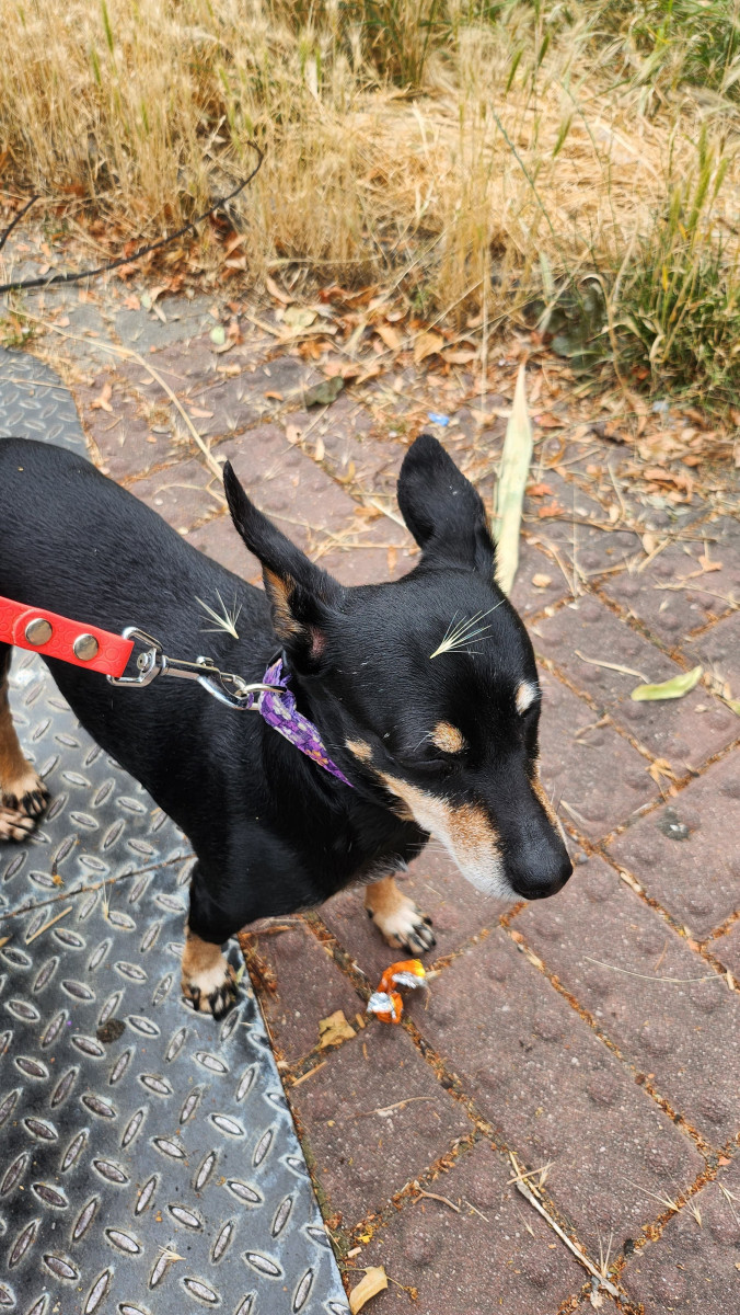 aa8e8a21-5676-47aa-a2ec-c9ff0feeda3d