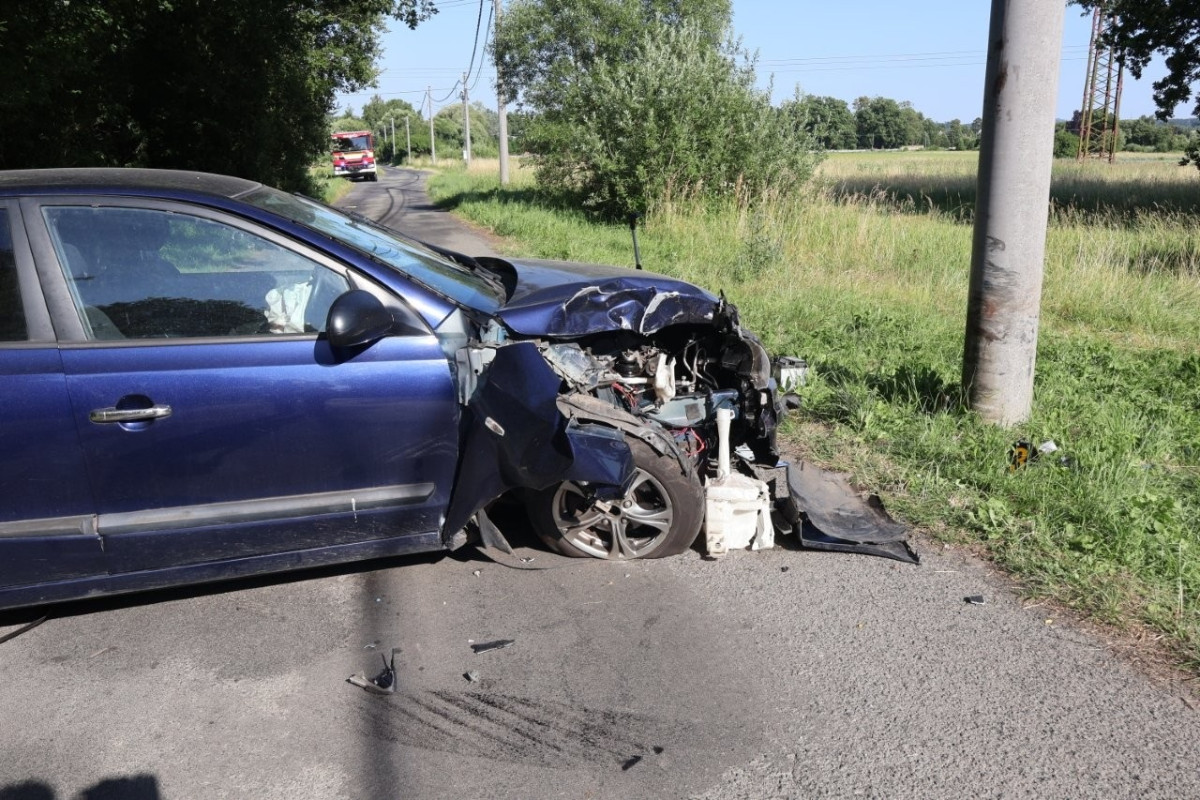 Ženě u Podlesí vlétla před auto slepice, strhnutí volantu přišlo na 80 tisíc