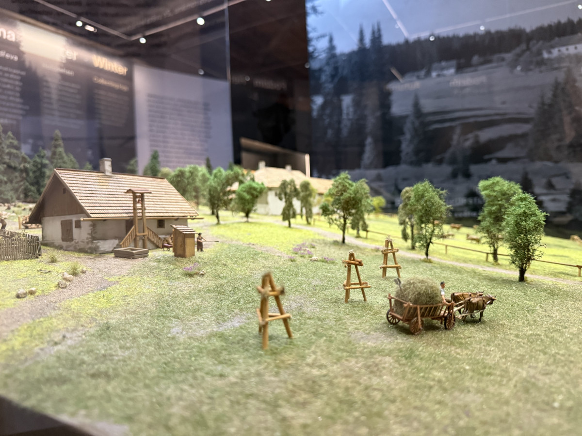 Expozice výstavy na Březníku