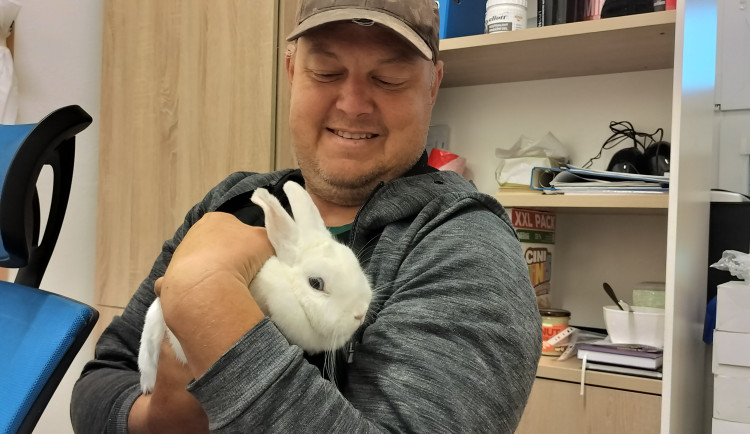 Ušatý tulák na sídlišti. Strážníci našli králíkovi nový domov, přespal na služebně