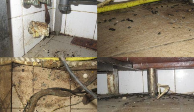 Myší trus, špína a plísně. Potravináři zavřeli pražskou Hospodu Na Václavce