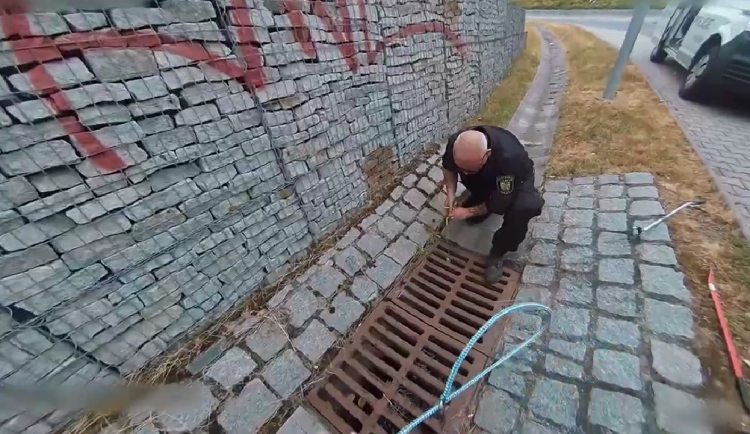 Za tohle by se ani MacGyver nemusel stydět, strážníci zaimprovizovali a zachránili kachňata