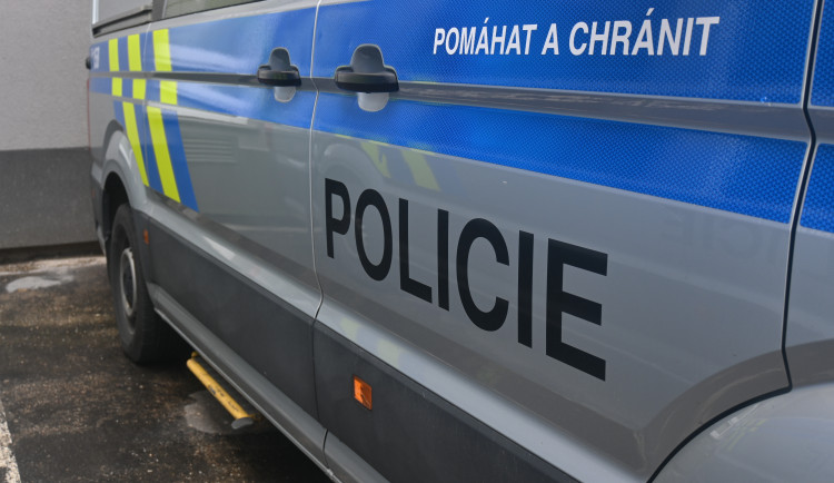 Policisté hledají Simsona, kterého někdo ukradl. Nevíte o tom něco?