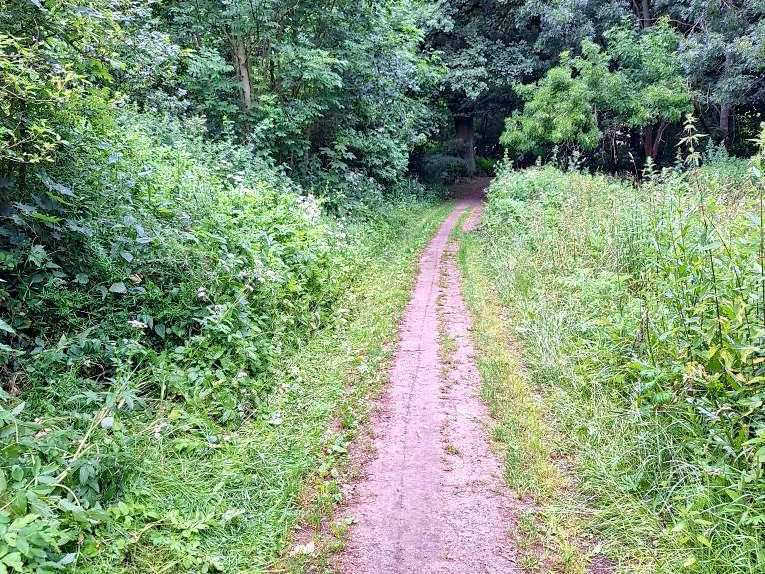 Stezka byla dříve rozdělena travnatým drnem, nebyla dobře sjízdná třeba pro kočárky.