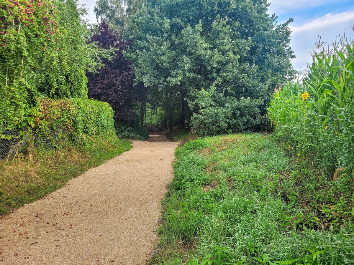 Stezka z Turnova, Nudvojovic, do Přepeř v novém.