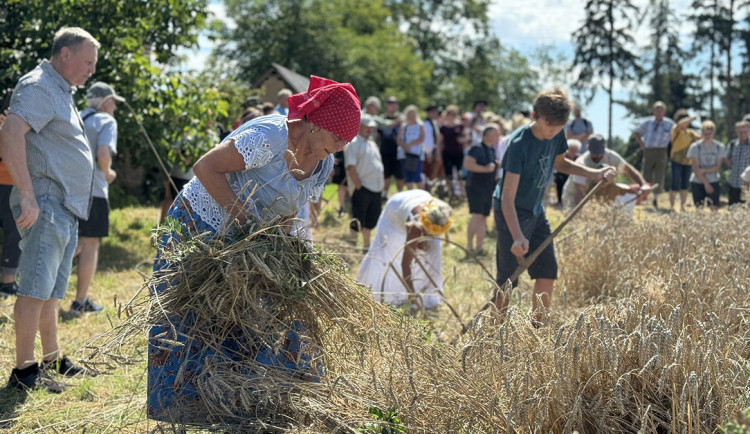 TIP NA VÍKEND: Sklizeň jako za starých časů. Tradiční žně na Hané přiblíží muzeum v Příkazích