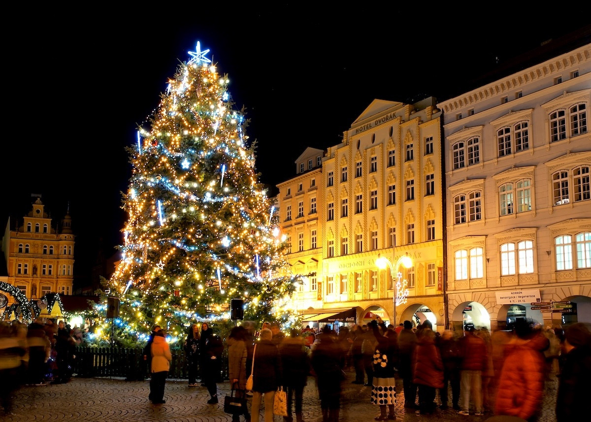Z vánočního stromu vzniknou umělecká díla. O jejich podobě rozhodne veřejnost
