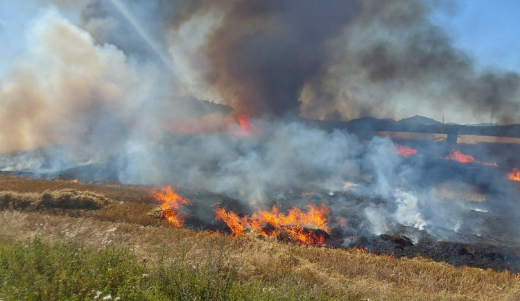Rozsáhlý požár v Novinách pod Ralskem. Hořelo osm hektarů pole