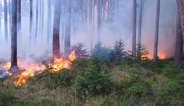 U Sepekova shořelo půl hektaru lesa