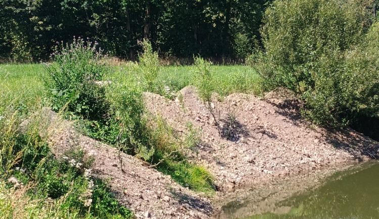 Neznámý pachatel zničil v CHKO Poodří hnízda ledňáčků, zasypal je stavební sutí