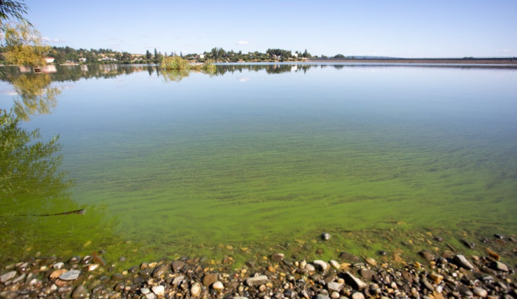 Plumlovská přehrada je stále plná sinic, dál platí zákaz koupání. Poděbrady jsou v pořádku