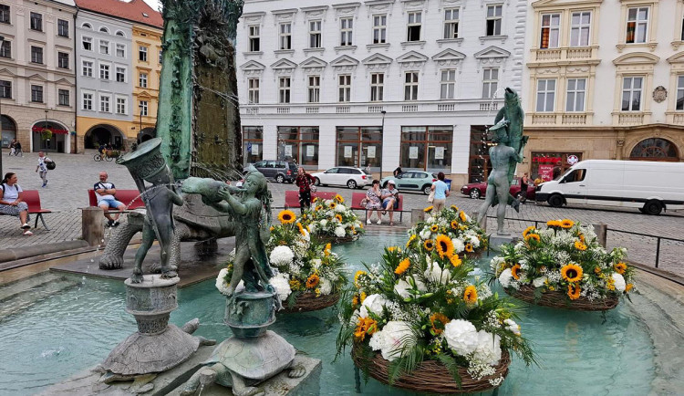 U želv plují květinové kruhy. Arionova kašna v Olomouci ožila atraktivní úpravou