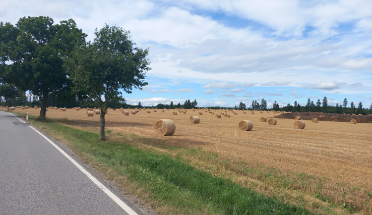 VIDEO: Stonařov se řítí do problémů. Ještě je čas zatáhnout za záchrannou brzdu
