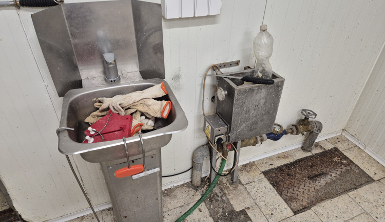 Veterináři našli v bourárně na Brněnsku tři čtvrtě tuny zapáchajícího vepřového