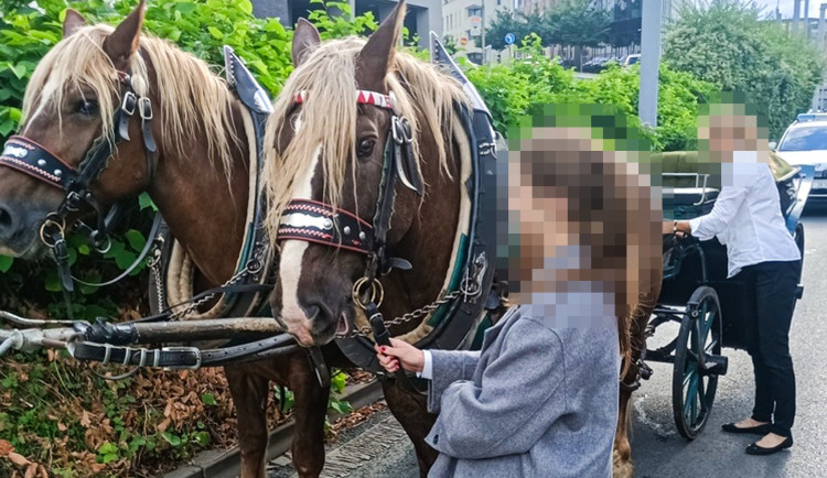 Střet kočáru se dvěma auty, kuriózní nehoda se odehrála v centru města