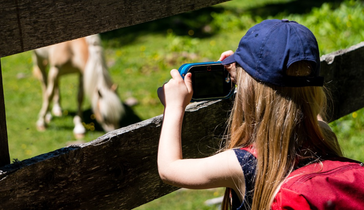 Poklidná sezona táborů v Libereckém kraji. Hygienici uložili pět pokut