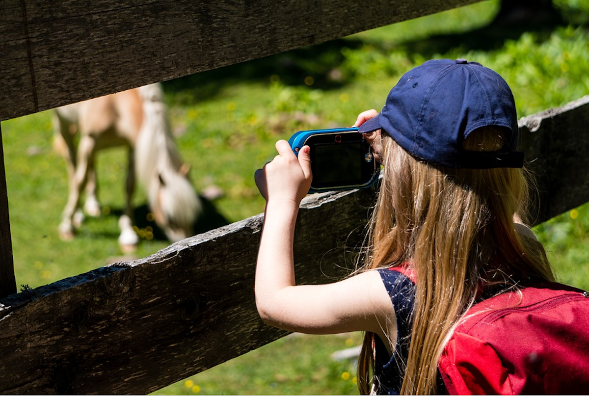 Poklidná sezona táborů v Libereckém kraji. Hygienici uložili pět pokut