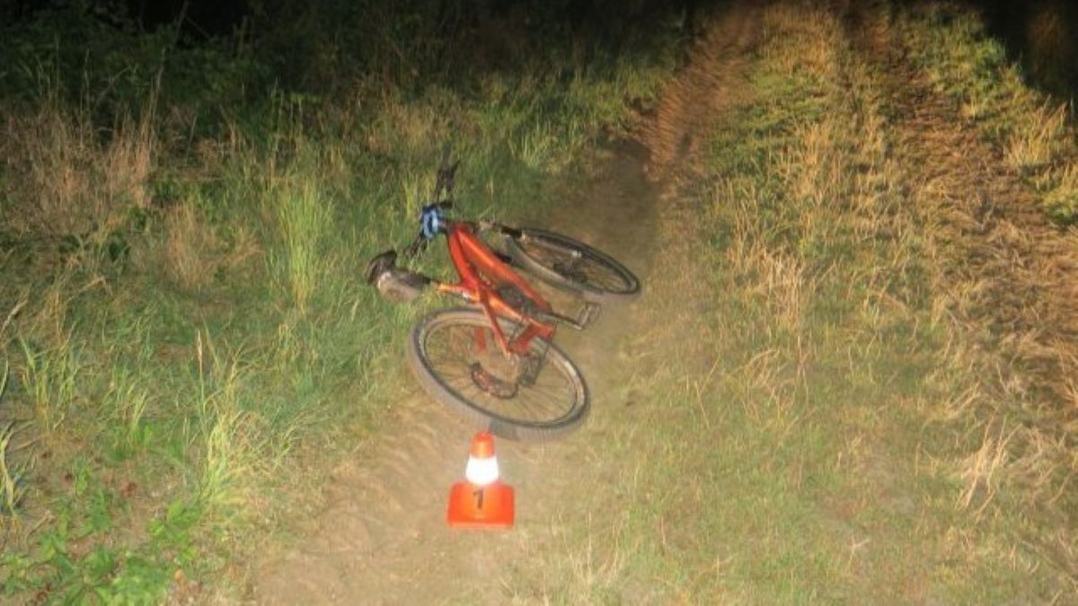 cyklistu srazila srna