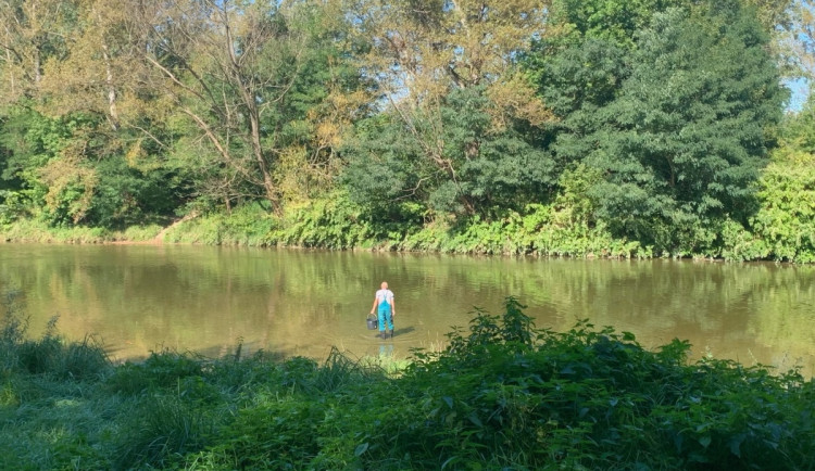 Bečva pět let po otravě: přírodní pokladnice se stále vzpamatovává z katastrofy