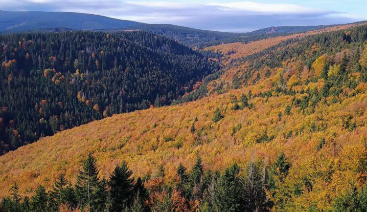 Rezervace Skalní potok se rozšířila o sedm hektarů. Nedostatečné, tvrdí aktivisté