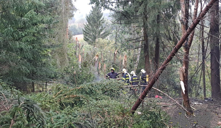 Menší letadlo se zřítilo na Plzeňsku do lesa a začalo hořet. Pilot zahynul v troskách