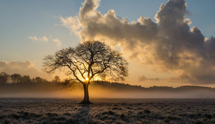 Víkend přinese oteplení, postupně ustane i déšť