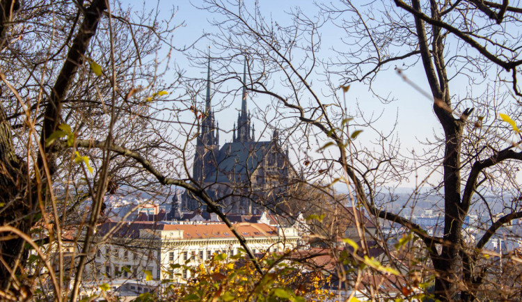 Na podzim začne proměna neudržované části parku Špilberk. Vznikne Otevřený les