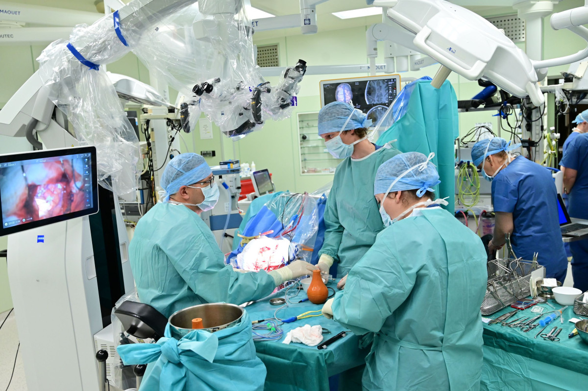 Dávali mu pár týdnů. Devět let po léčbě mozkového nádoru hraje houslista František Černý dál